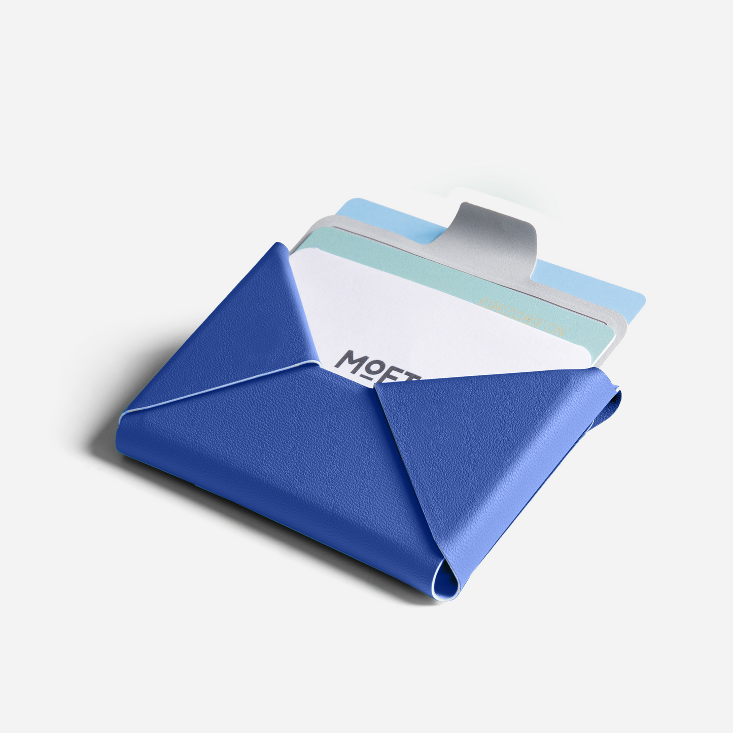 Snap Field Kartenetui