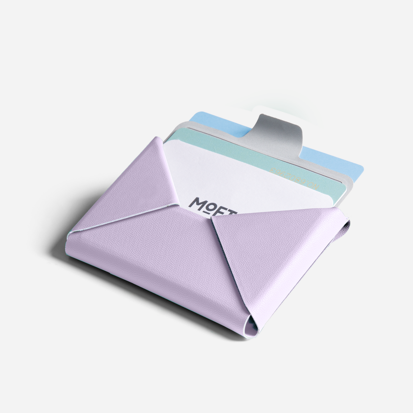 Snap Field Kartenetui